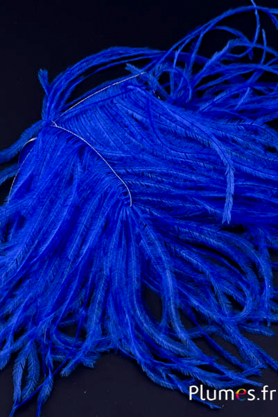Autruche barbules - 8-15 cm - bleu